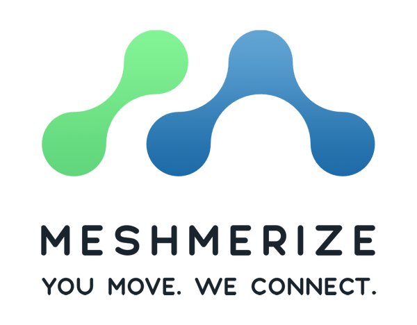 logo-meshmerize-2023