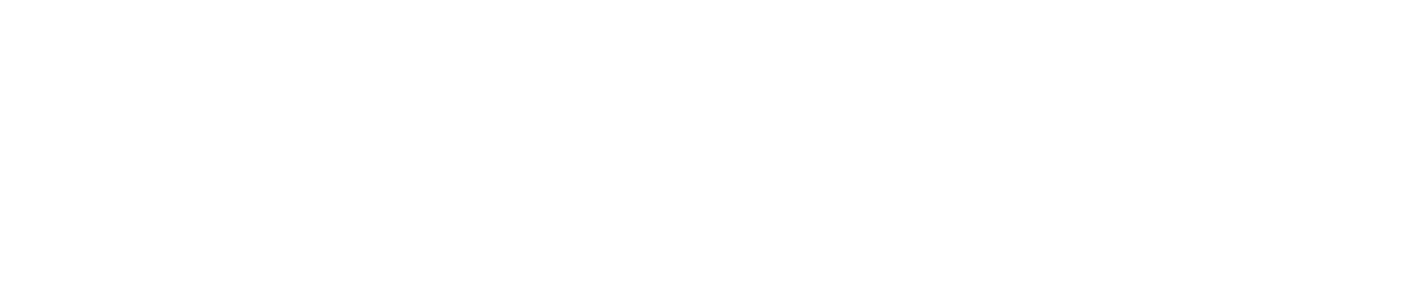 SpinLab Logo white