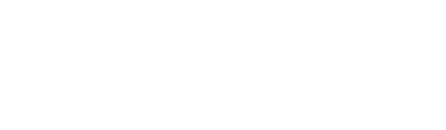 SpinLab - The HHL Accelerator logo