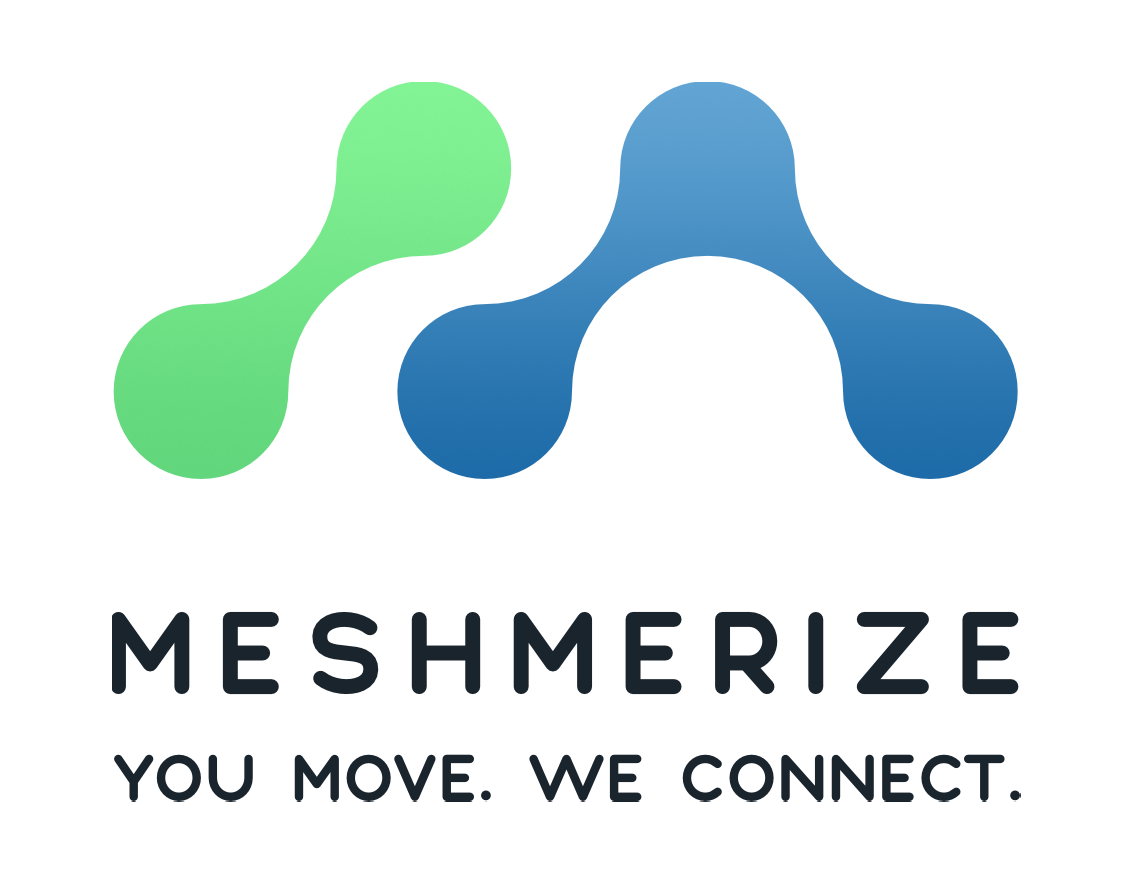 Meshmerize