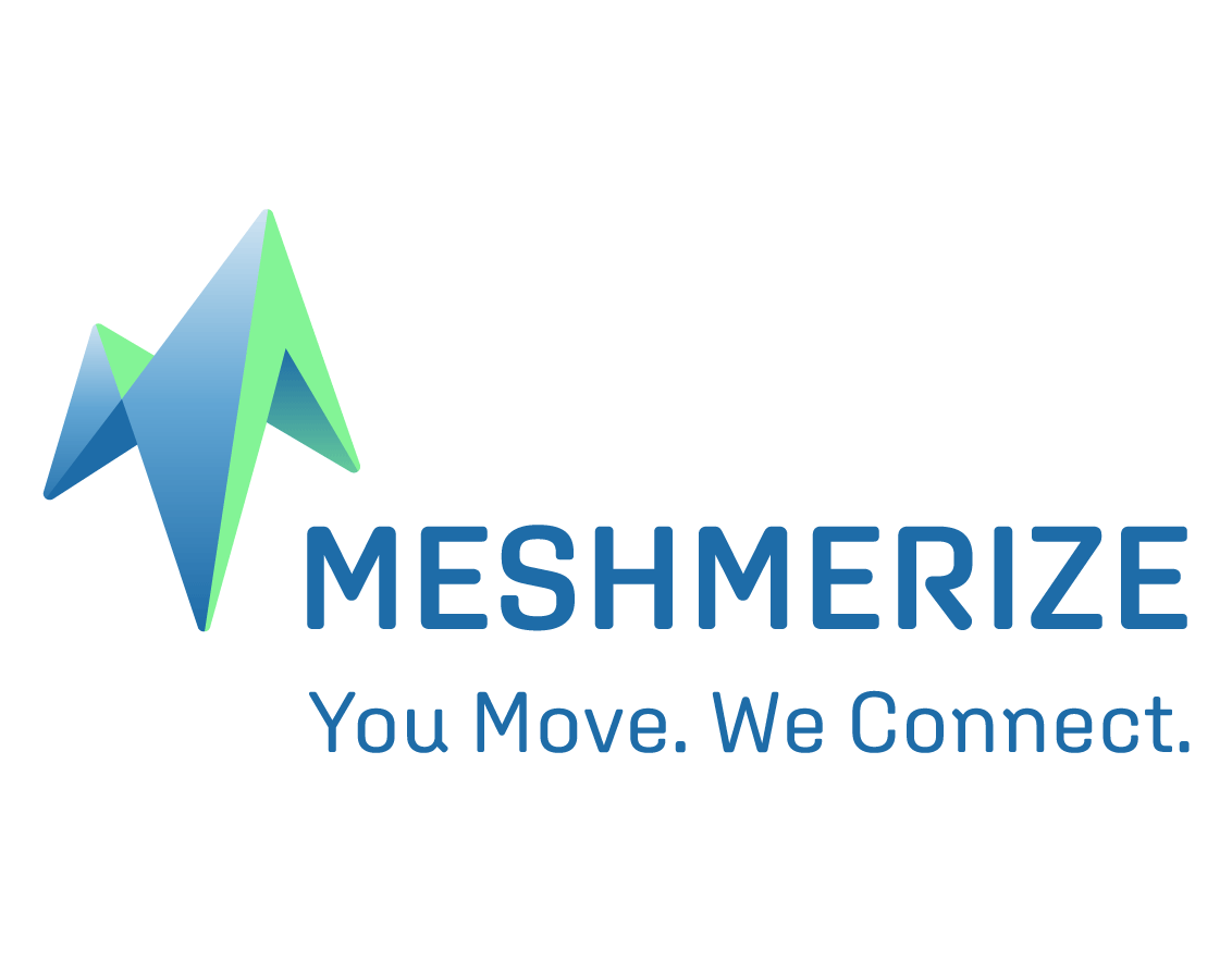 MESHMERIZE